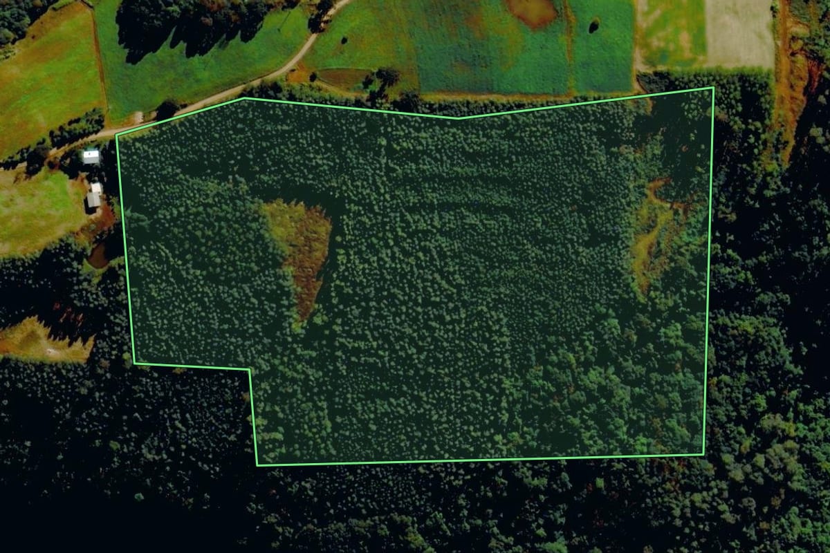 Imagem de satélite do imóvel rural em Barão (RS), com o contorno declarado no CAR desenhado por cima.