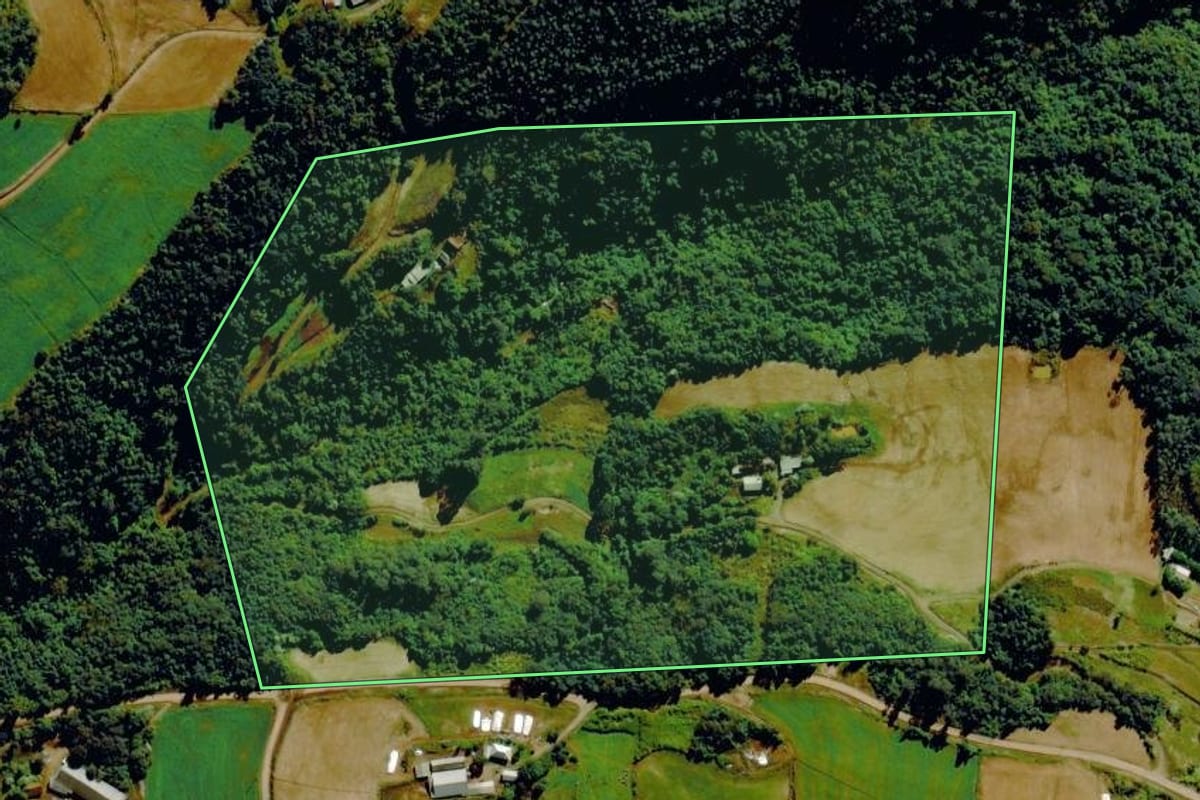 Imagem de satélite do imóvel rural em Barão (RS), com o contorno declarado no CAR desenhado por cima.