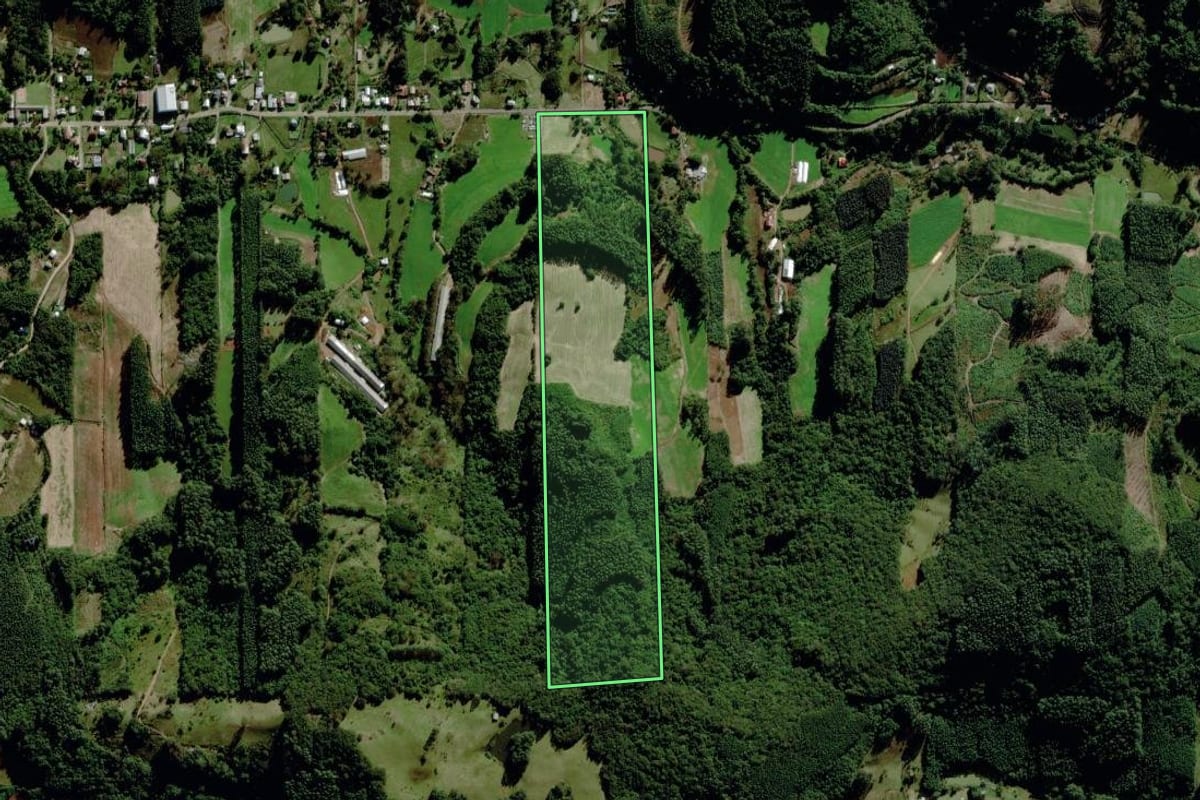 Imagem de satélite do imóvel rural em Barão (RS), com o contorno declarado no CAR desenhado por cima.