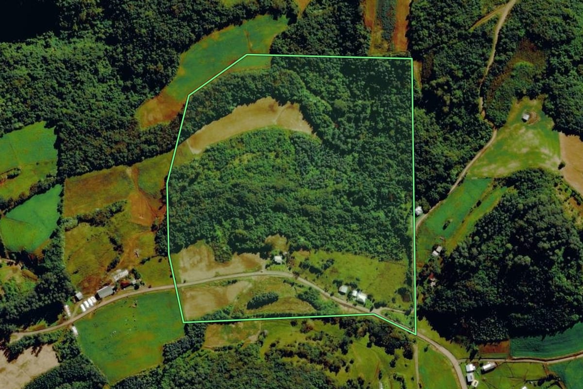Imagem de satélite do imóvel rural em Barão (RS), com o contorno declarado no CAR desenhado por cima.