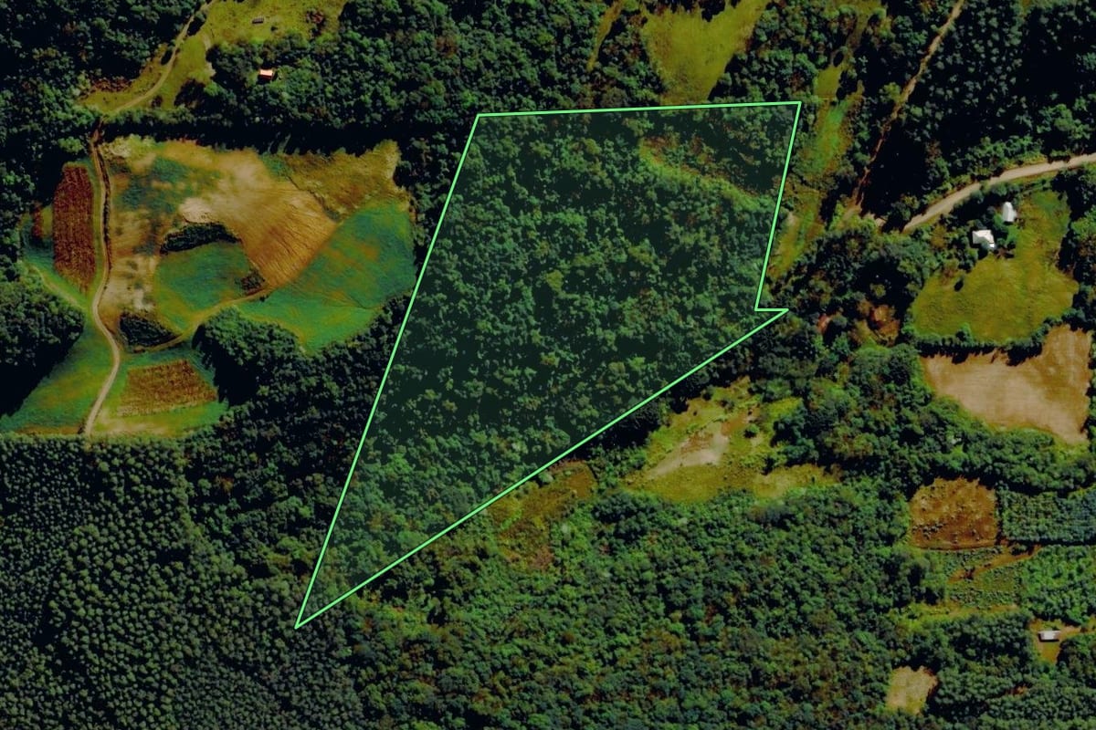 Imagem de satélite do imóvel rural em Barão (RS), com o contorno declarado no CAR desenhado por cima.