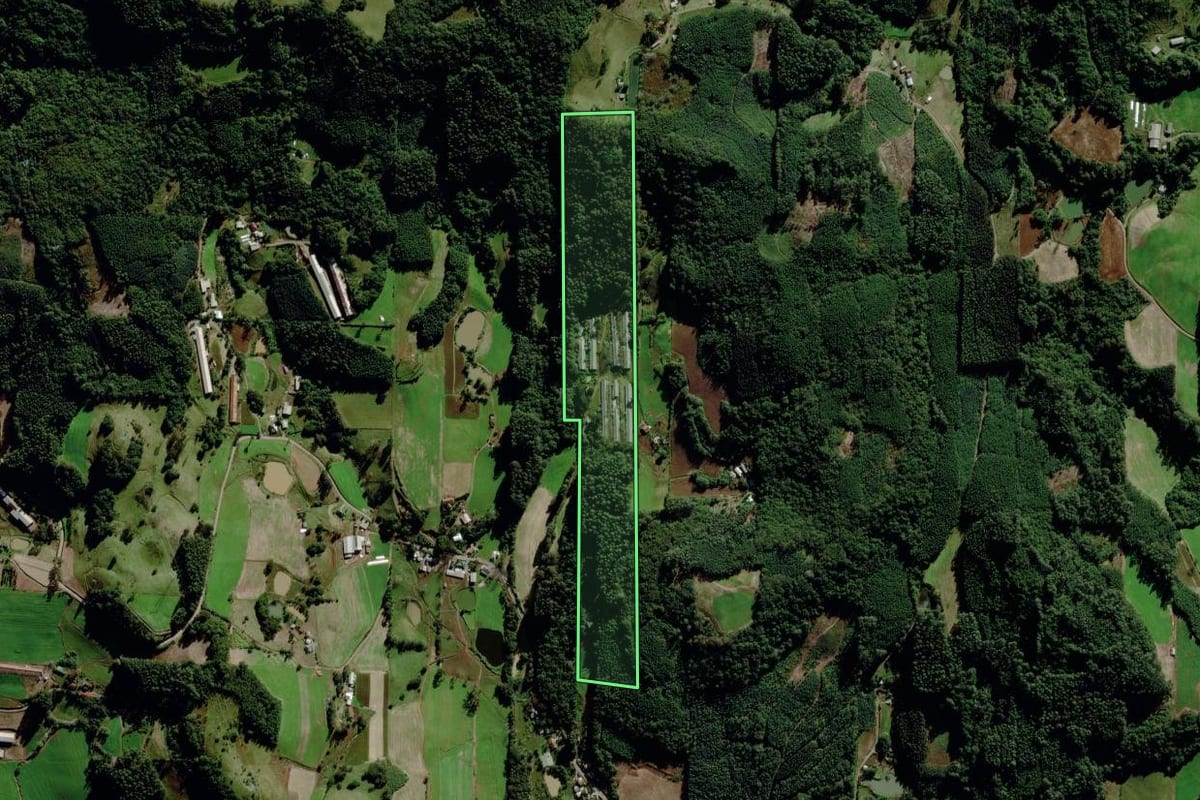 Imagem de satélite do imóvel rural em Barão (RS), com o contorno declarado no CAR desenhado por cima.