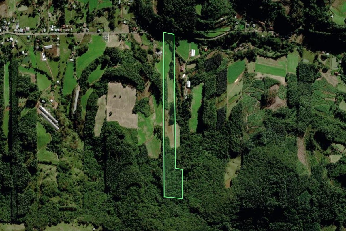 Imagem de satélite do imóvel rural em Barão (RS), com o contorno declarado no CAR desenhado por cima.