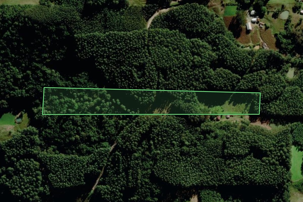 Imagem de satélite do imóvel rural em Barão (RS), com o contorno declarado no CAR desenhado por cima.