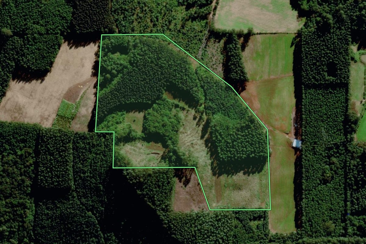 Imagem de satélite do imóvel rural em Barão (RS), com o contorno declarado no CAR desenhado por cima.