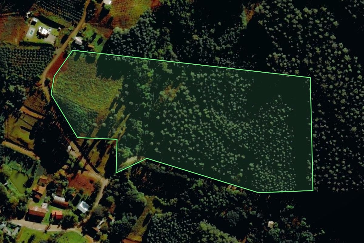 Imagem de satélite do imóvel rural em Barão (RS), com o contorno declarado no CAR desenhado por cima.