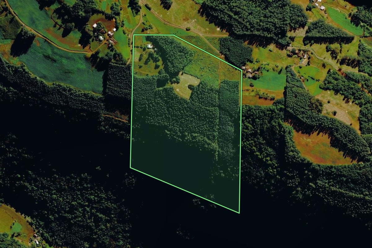 Imagem de satélite do imóvel rural em Barão (RS), com o contorno declarado no CAR desenhado por cima.