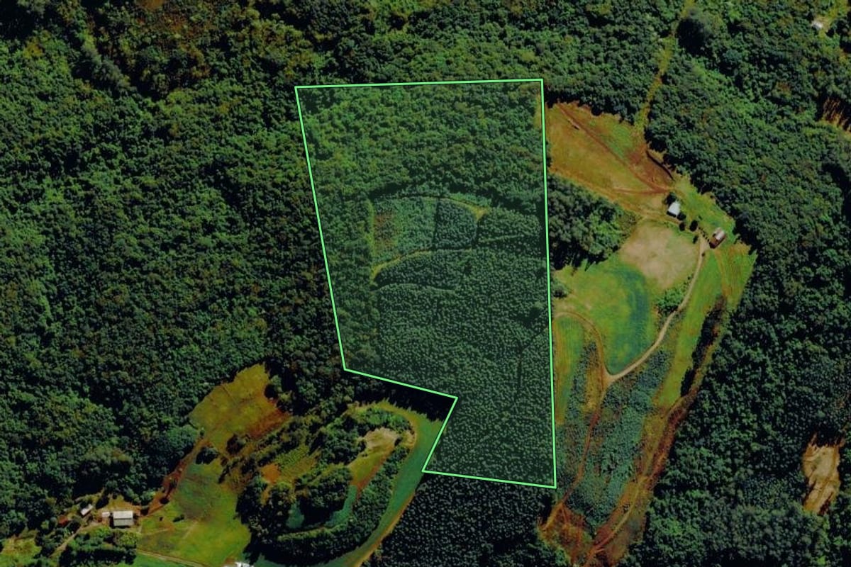 Imagem de satélite do imóvel rural em Barão (RS), com o contorno declarado no CAR desenhado por cima.