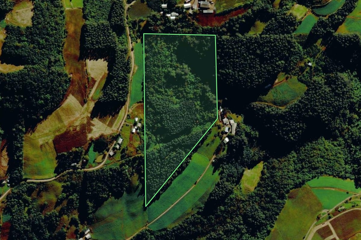 Imagem de satélite do imóvel rural em Barão (RS), com o contorno declarado no CAR desenhado por cima.
