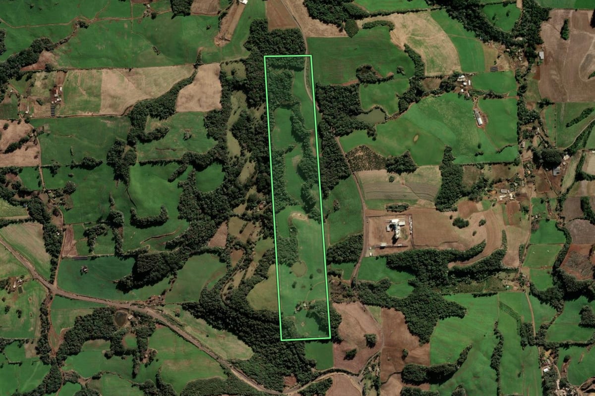 Imagem de satélite do imóvel rural em Barão de Cotegipe (RS), com o contorno declarado no CAR desenhado por cima.