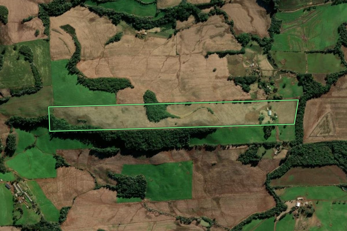Imagem de satélite do imóvel rural em Barão de Cotegipe (RS), com o contorno declarado no CAR desenhado por cima.