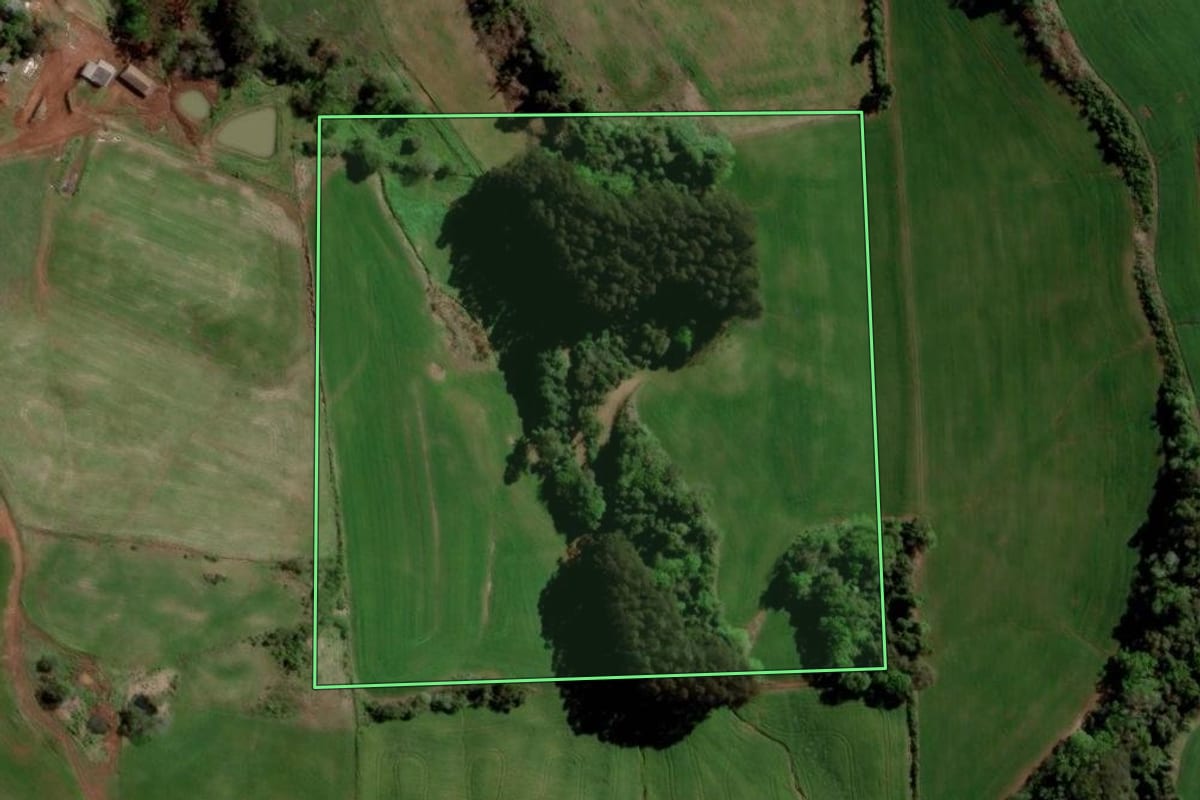 Imagem de satélite do imóvel rural em Barão de Cotegipe (RS), com o contorno declarado no CAR desenhado por cima.