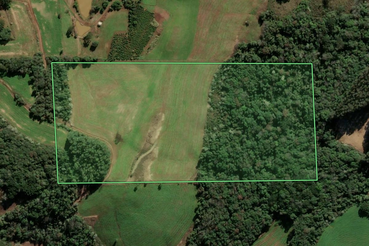 Imagem de satélite do imóvel rural em Barão de Cotegipe (RS), com o contorno declarado no CAR desenhado por cima.