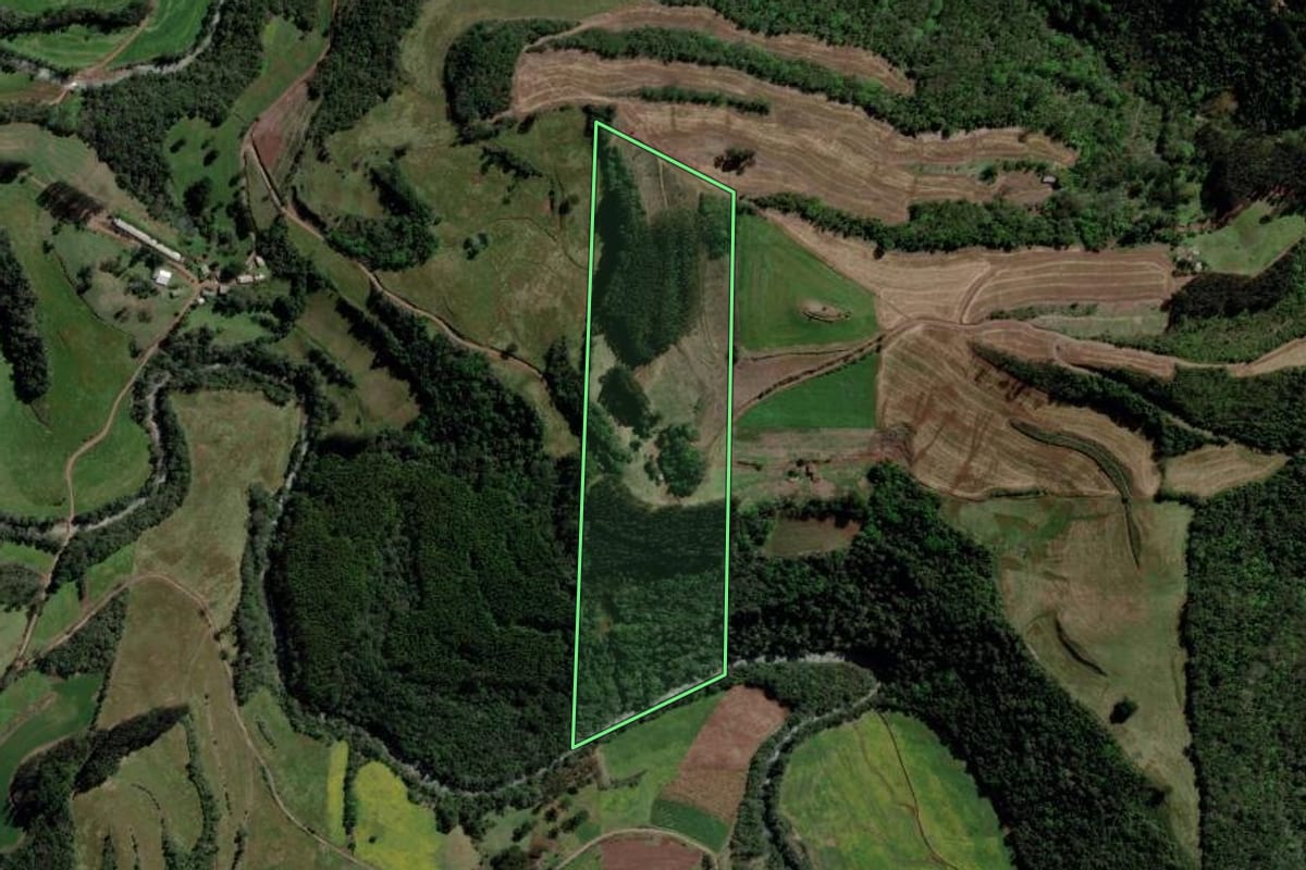 Imagem de satélite do imóvel rural em Barão de Cotegipe (RS), com o contorno declarado no CAR desenhado por cima.
