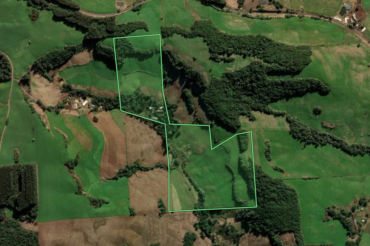 Imagem de satélite do imóvel rural em Barão de Cotegipe (RS), com o contorno declarado no CAR desenhado por cima.