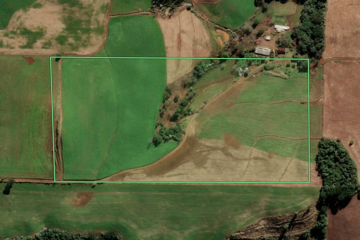 Imagem de satélite do imóvel rural em Barão de Cotegipe (RS), com o contorno declarado no CAR desenhado por cima.