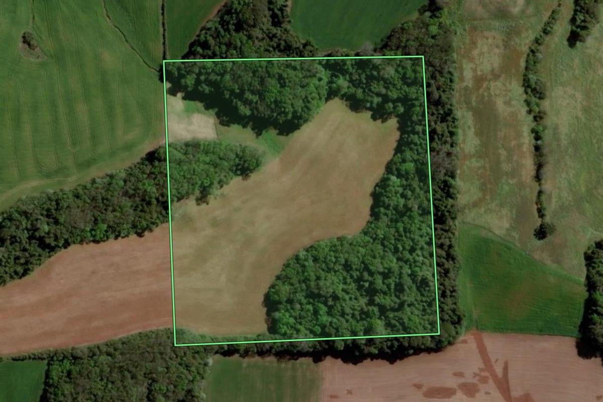 Imagem de satélite do imóvel rural em Barão de Cotegipe (RS), com o contorno declarado no CAR desenhado por cima.