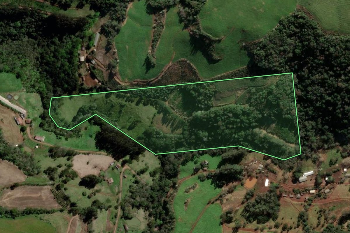 Imagem de satélite do imóvel rural em Barão de Cotegipe (RS), com o contorno declarado no CAR desenhado por cima.
