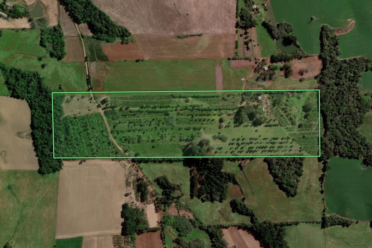 Imagem de satélite do imóvel rural em Barão de Cotegipe (RS), com o contorno declarado no CAR desenhado por cima.