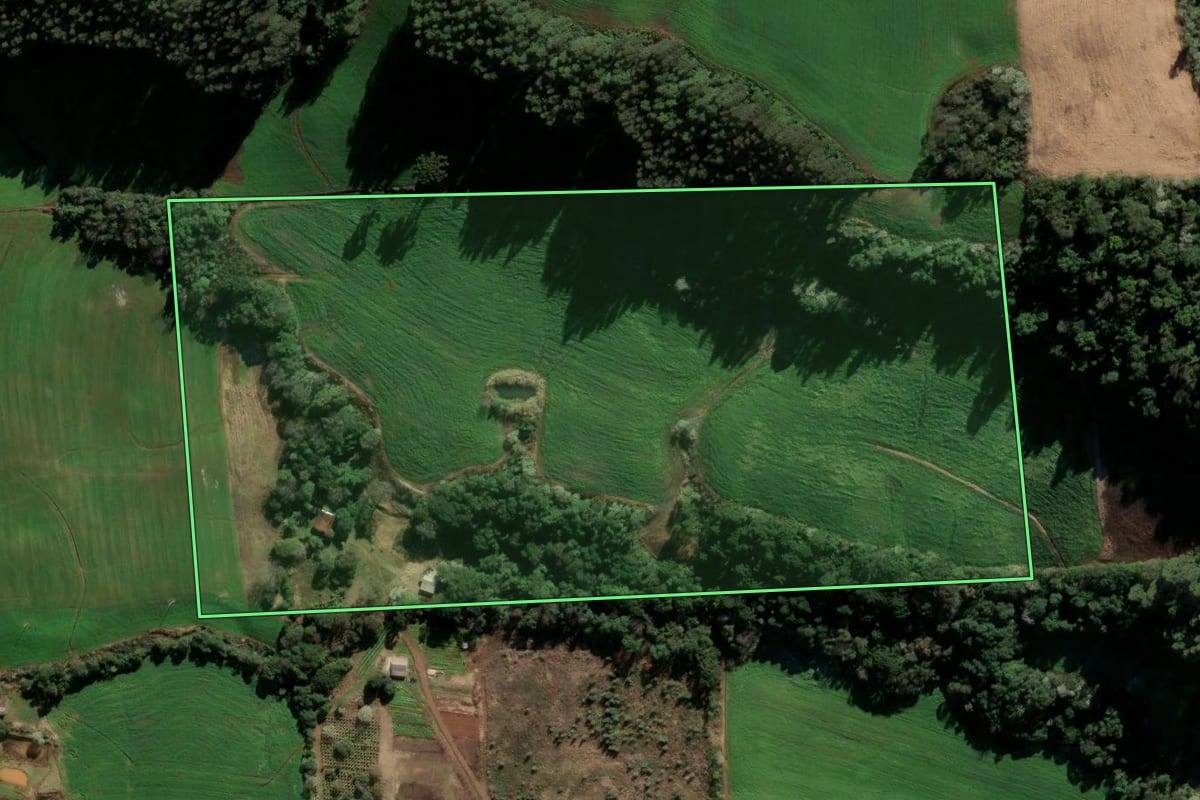 Imagem de satélite do imóvel rural em Barão de Cotegipe (RS), com o contorno declarado no CAR desenhado por cima.