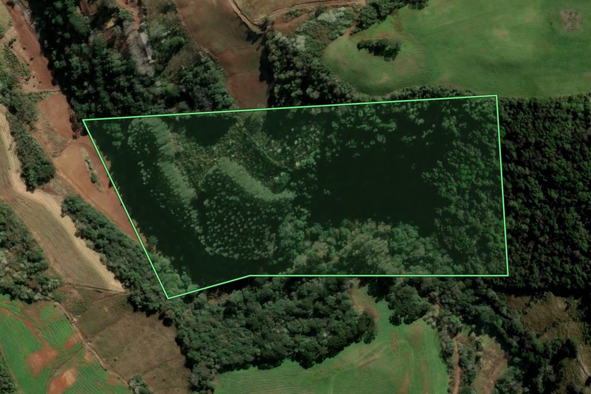 Imagem de satélite do imóvel rural em Barão de Cotegipe (RS), com o contorno declarado no CAR desenhado por cima.