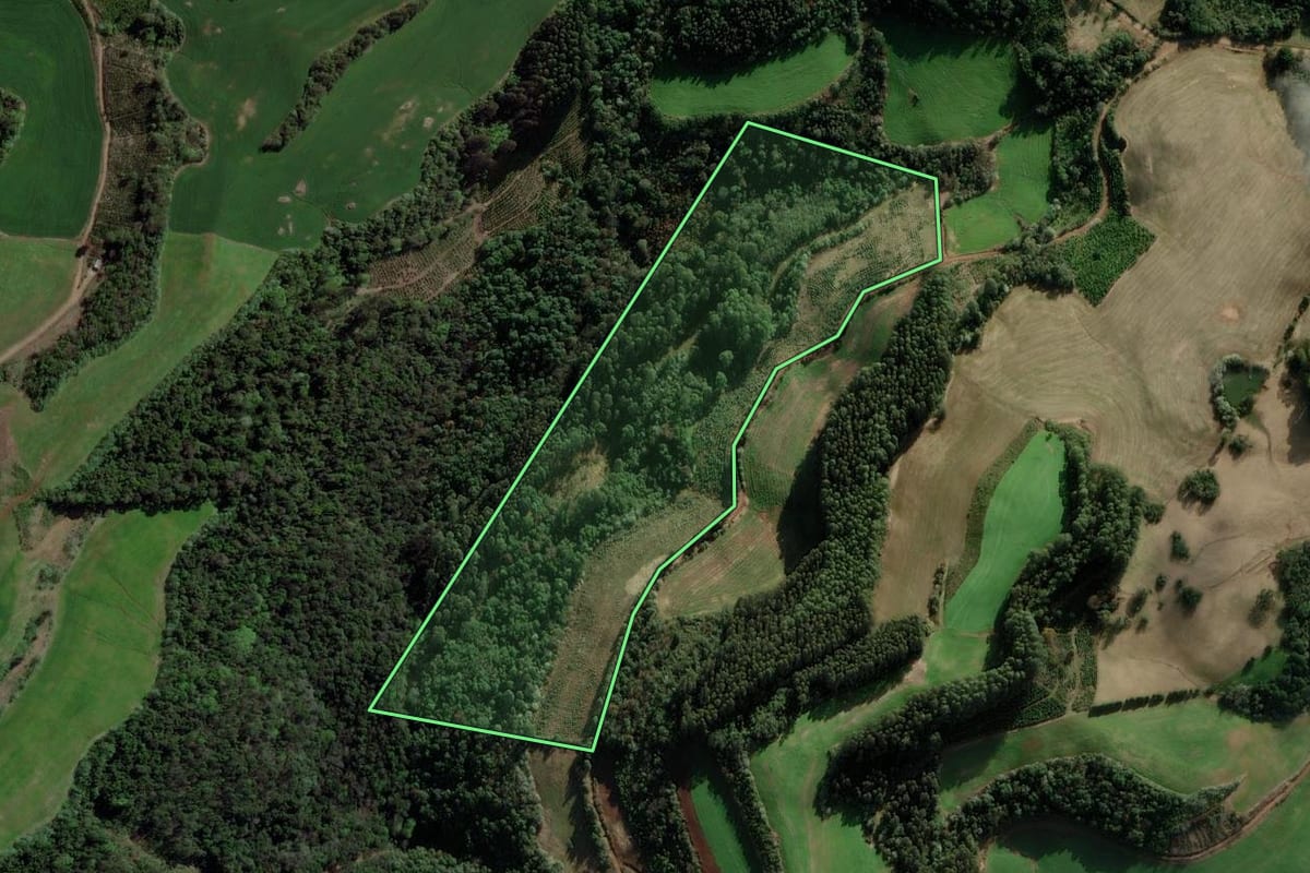 Imagem de satélite do imóvel rural em Barão de Cotegipe (RS), com o contorno declarado no CAR desenhado por cima.