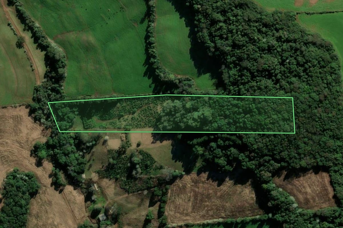 Imagem de satélite do imóvel rural em Barão de Cotegipe (RS), com o contorno declarado no CAR desenhado por cima.