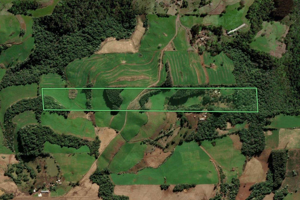 Imagem de satélite do imóvel rural em Barão de Cotegipe (RS), com o contorno declarado no CAR desenhado por cima.