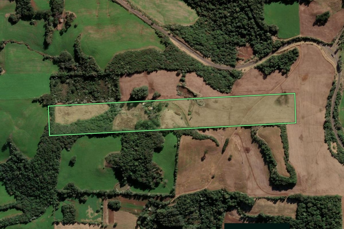 Imagem de satélite do imóvel rural em Barão de Cotegipe (RS), com o contorno declarado no CAR desenhado por cima.