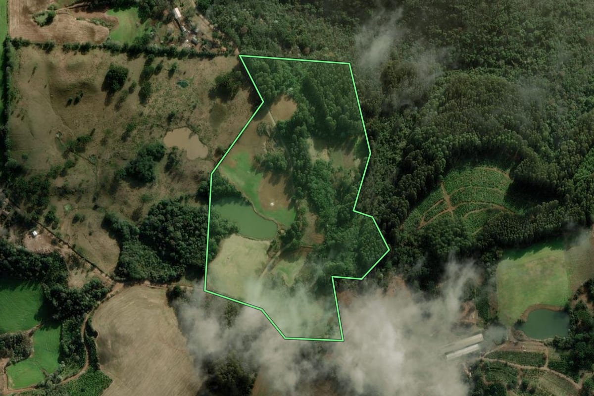 Imagem de satélite do imóvel rural em Barão de Cotegipe (RS), com o contorno declarado no CAR desenhado por cima.