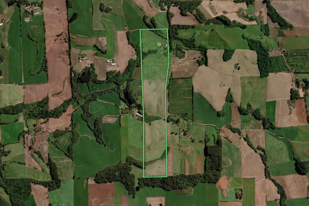 Imagem de satélite do imóvel rural em Barão de Cotegipe (RS), com o contorno declarado no CAR desenhado por cima.