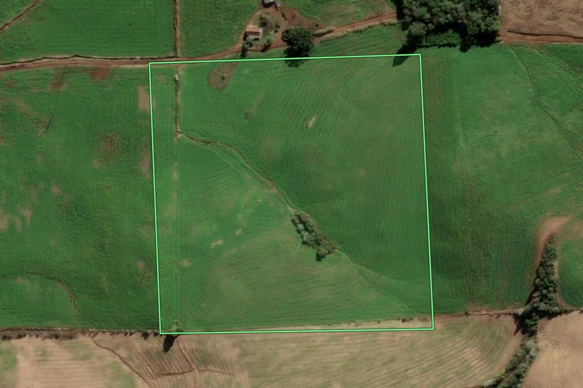 Imagem de satélite do imóvel rural em Barão de Cotegipe (RS), com o contorno declarado no CAR desenhado por cima.
