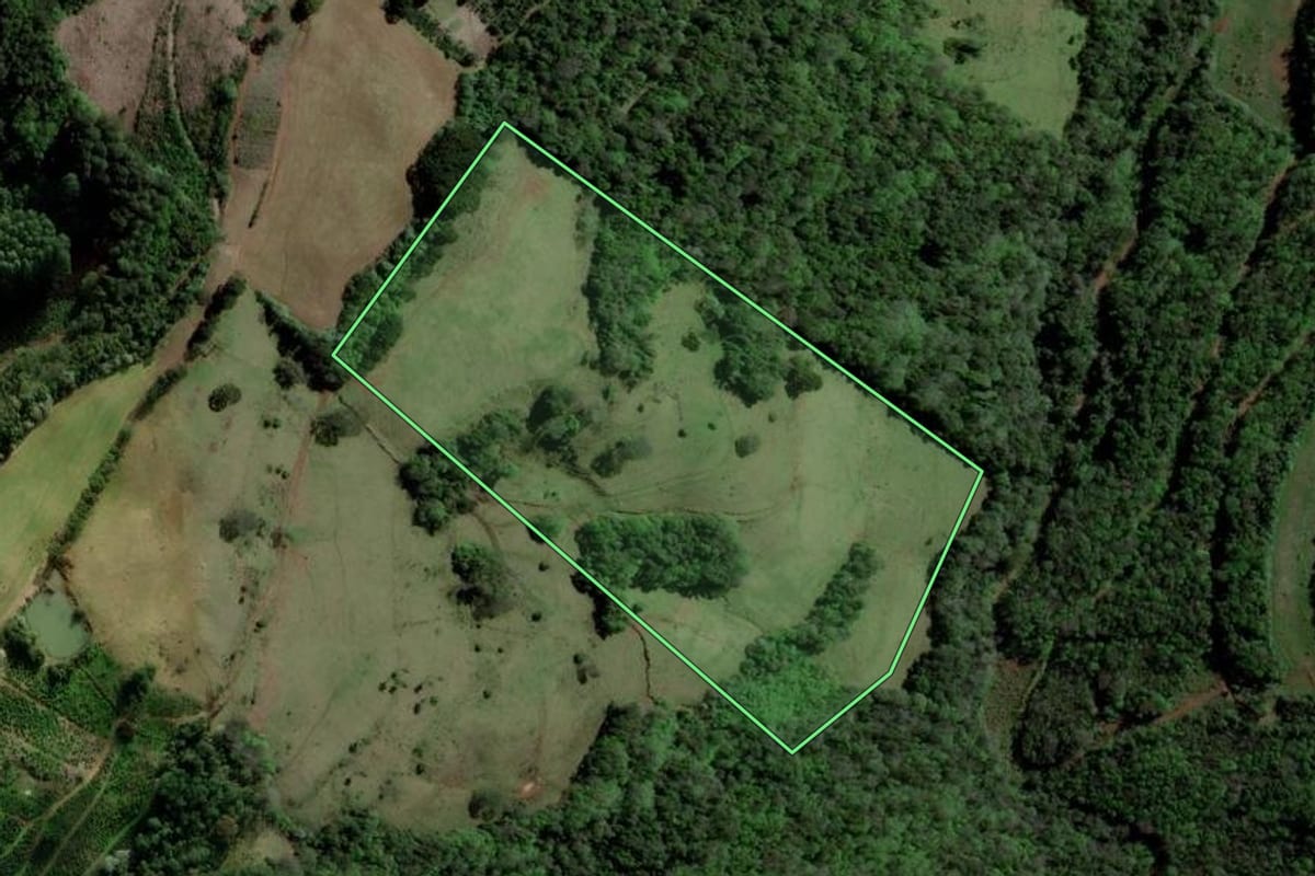 Imagem de satélite do imóvel rural em Barão de Cotegipe (RS), com o contorno declarado no CAR desenhado por cima.