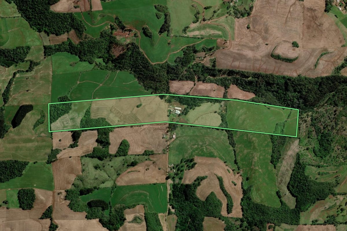 Imagem de satélite do imóvel rural em Barão de Cotegipe (RS), com o contorno declarado no CAR desenhado por cima.