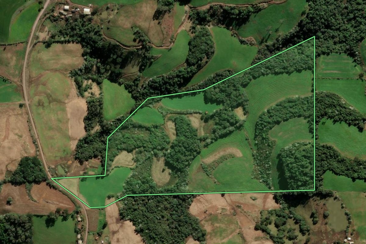 Imagem de satélite do imóvel rural em Barão de Cotegipe (RS), com o contorno declarado no CAR desenhado por cima.
