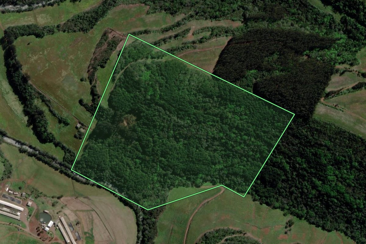 Imagem de satélite do imóvel rural em Barão de Cotegipe (RS), com o contorno declarado no CAR desenhado por cima.