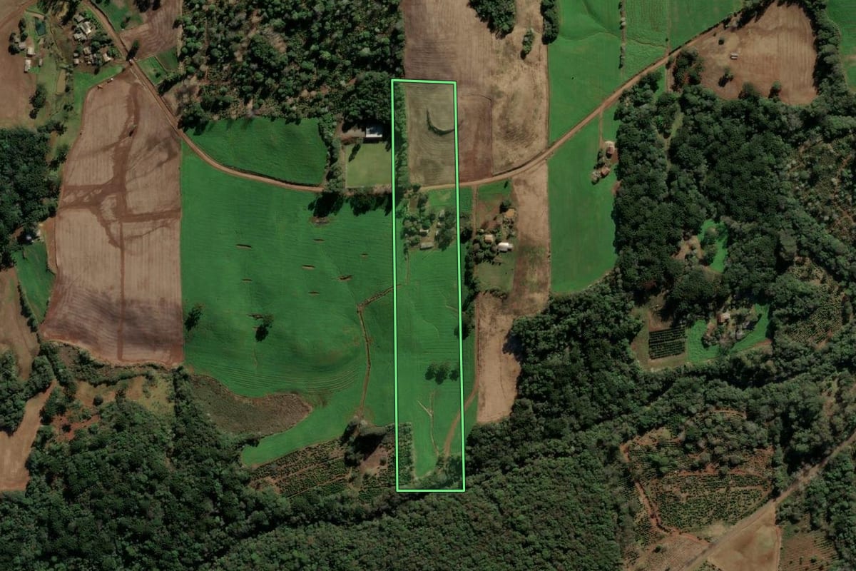 Imagem de satélite do imóvel rural em Barão de Cotegipe (RS), com o contorno declarado no CAR desenhado por cima.