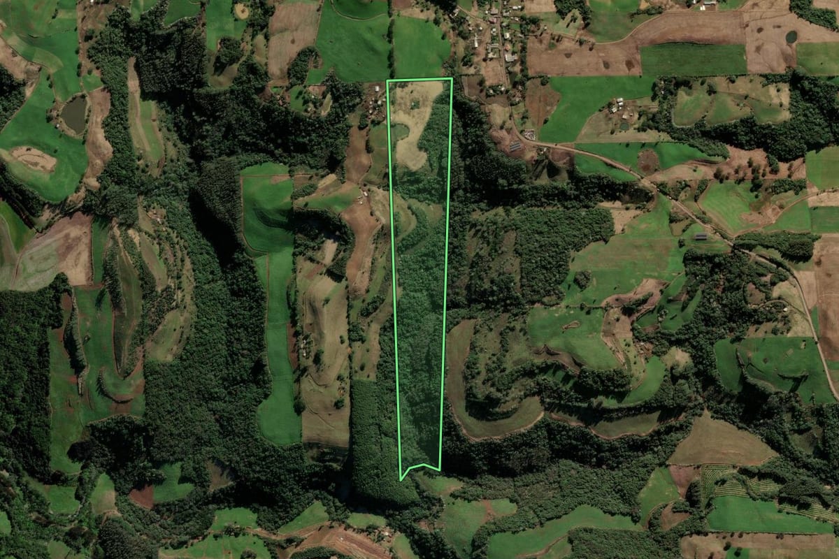 Imagem de satélite do imóvel rural em Barão de Cotegipe (RS), com o contorno declarado no CAR desenhado por cima.