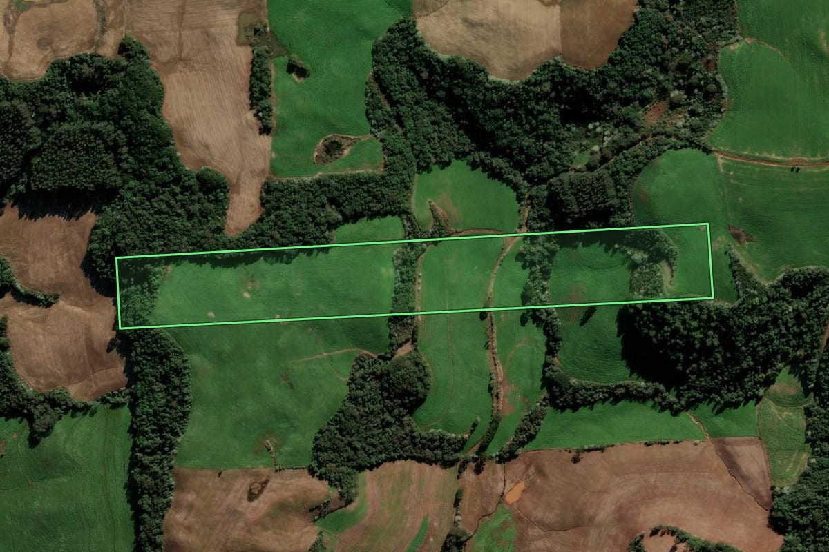 Imagem de satélite do imóvel rural em Barão de Cotegipe (RS), com o contorno declarado no CAR desenhado por cima.