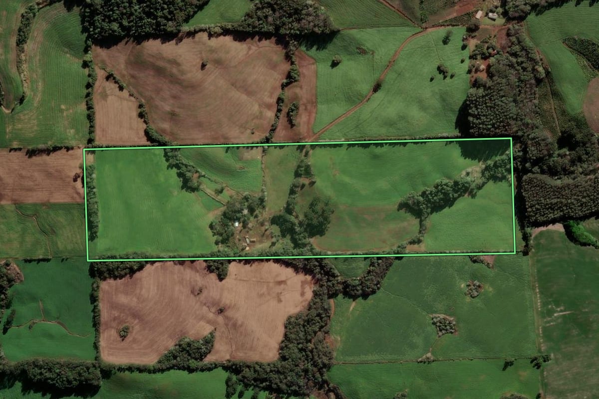 Imagem de satélite do imóvel rural em Barão de Cotegipe (RS), com o contorno declarado no CAR desenhado por cima.