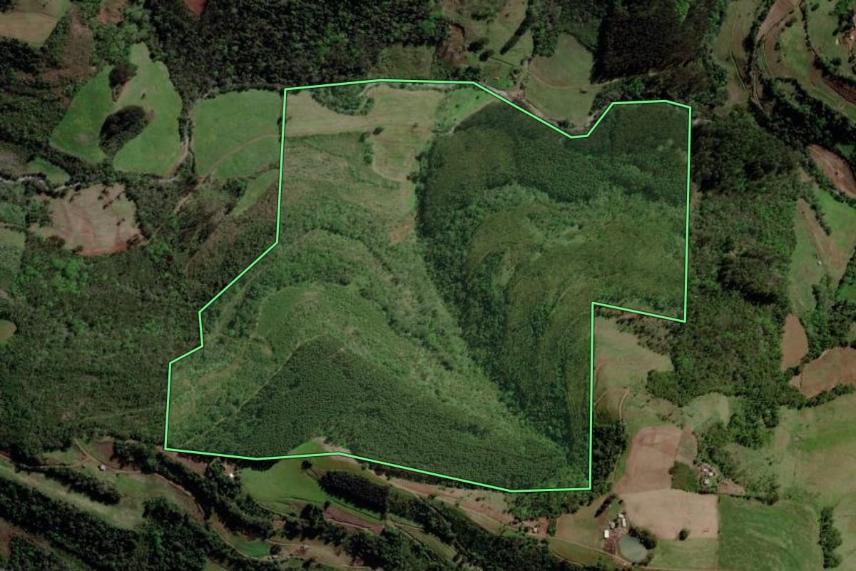 Imagem de satélite do imóvel rural em Barão de Cotegipe (RS), com o contorno declarado no CAR desenhado por cima.