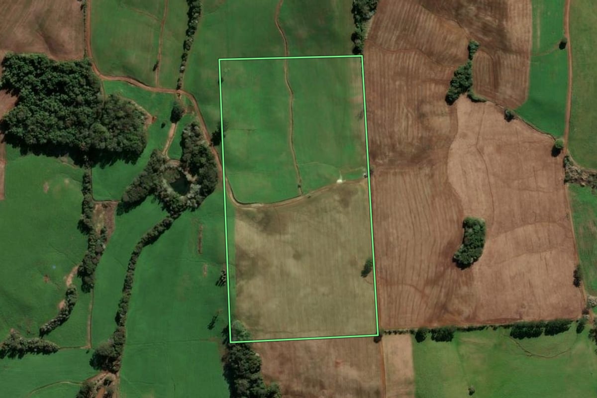 Imagem de satélite do imóvel rural em Barão de Cotegipe (RS), com o contorno declarado no CAR desenhado por cima.