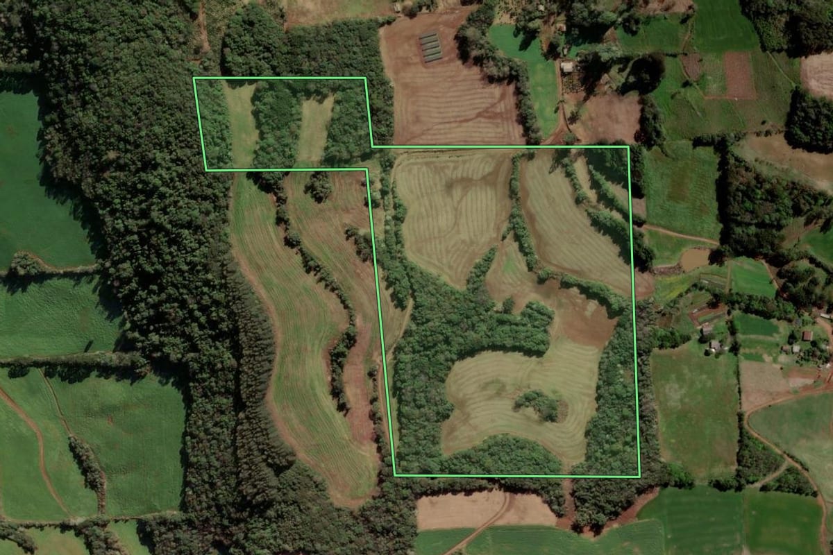 Imagem de satélite do imóvel rural em Barão de Cotegipe (RS), com o contorno declarado no CAR desenhado por cima.