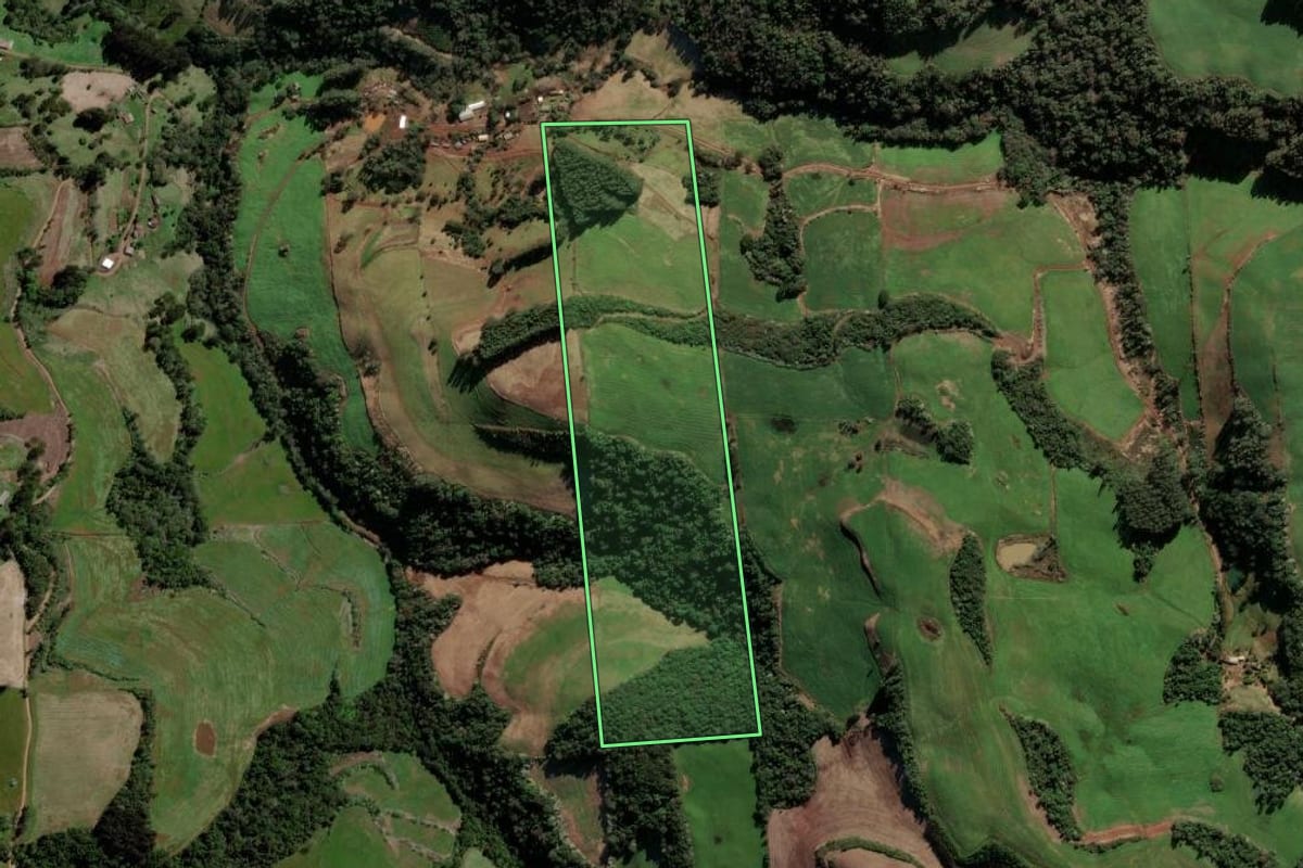 Imagem de satélite do imóvel rural em Barão de Cotegipe (RS), com o contorno declarado no CAR desenhado por cima.