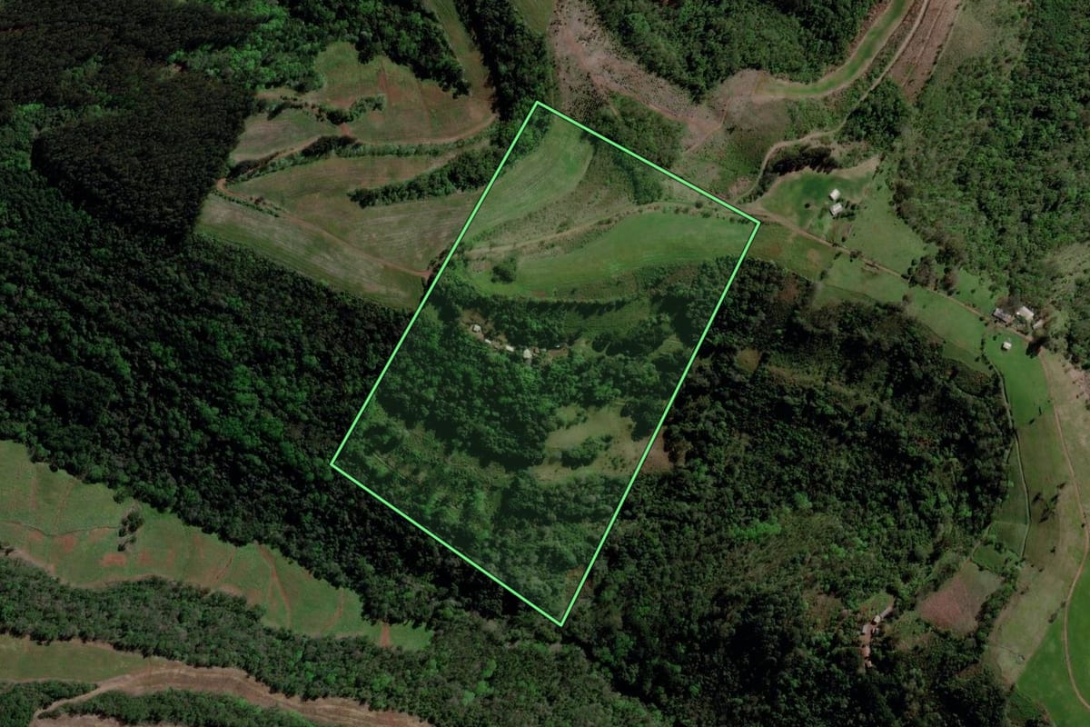 Imagem de satélite do imóvel rural em Barão de Cotegipe (RS), com o contorno declarado no CAR desenhado por cima.