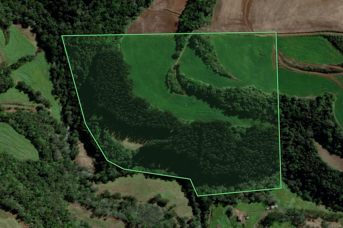 Imagem de satélite do imóvel rural em Barão de Cotegipe (RS), com o contorno declarado no CAR desenhado por cima.