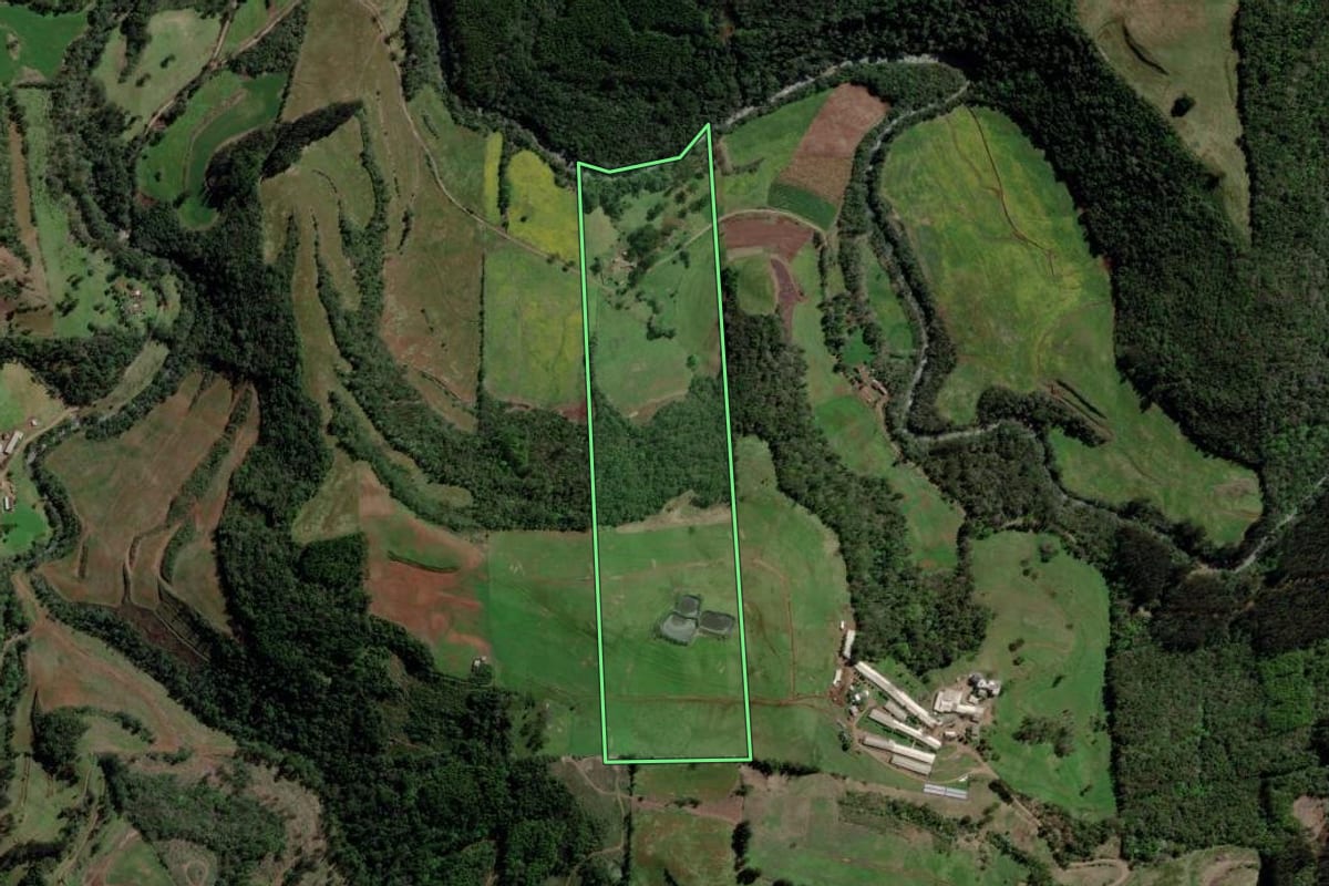 Imagem de satélite do imóvel rural em Barão de Cotegipe (RS), com o contorno declarado no CAR desenhado por cima.