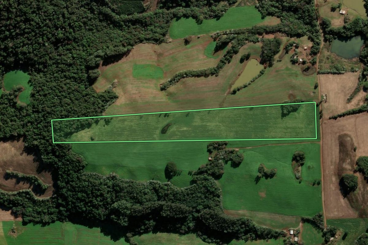 Imagem de satélite do imóvel rural em Barão de Cotegipe (RS), com o contorno declarado no CAR desenhado por cima.