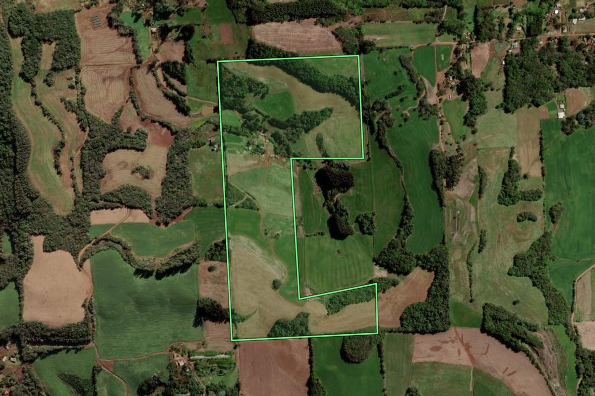Imagem de satélite do imóvel rural em Barão de Cotegipe (RS), com o contorno declarado no CAR desenhado por cima.