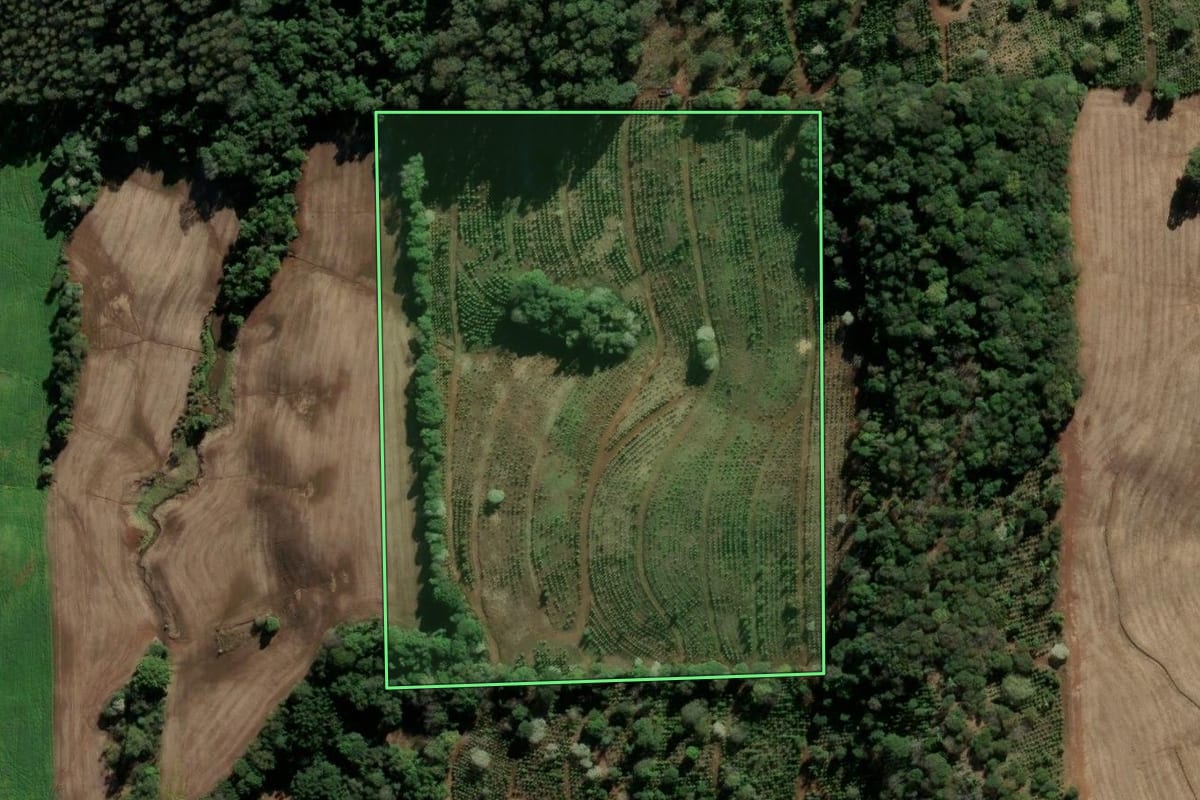 Imagem de satélite do imóvel rural em Barão de Cotegipe (RS), com o contorno declarado no CAR desenhado por cima.